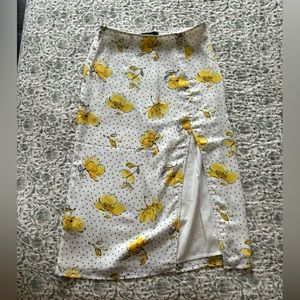 Abercrombie and Fitch Midi Skirt